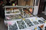 BARBUNYA - Balık Azaldı Fiyatlar Fırladı