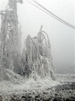 ELEKTRİK DAĞITIM ŞİRKETİ - Yedaş, Buza Karşı Adeta Savaş Veriyor