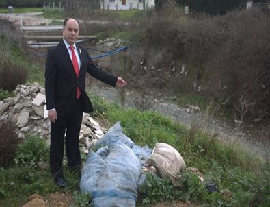 Ak Partili Çakıroğlu Açıklaması