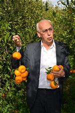 KİMYASAL GÜBRE - Başkan Çömez Açıklaması