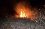 SARMAŞıK - Bafra’da Orman Yangını