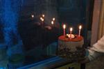 'Dadaş Pirana” 25. Yaşını Doğum Günü Partisi İle Kutladı
