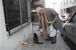 CEMAL SAFI - Emekli Öğretmenin Kedi Sevgisi