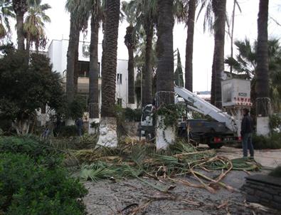 Bodrum’da Bahar Hazırlıkları