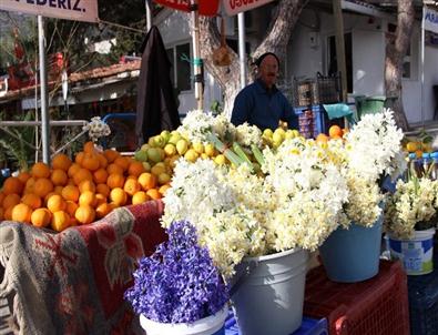 Karaburun'da Nergis Kokuları Pazarı Boyadı!