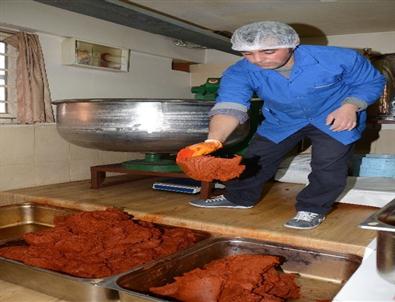 (özel Haber) Gribin Düşmanı 'Çemen'