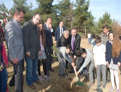 Başkan Doğan Çocuklarla Birlikte Fidan Dikti