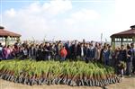 BAYRAM COŞKUSU - Hilvan'da Okul Bahçesine 500 Fidan Dikildi