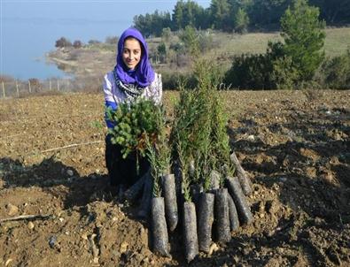 İzsu’dan Tahtalı’ya 800 Bin Fidan