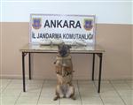 KUTLUDÜĞÜN - Jandarmadan Uyuşturucu Operasyonu