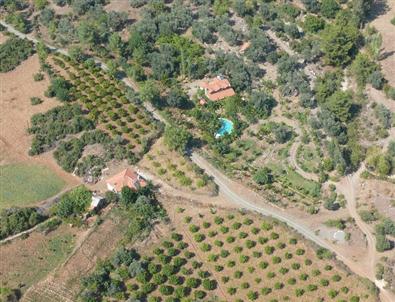 Hazineye Ait Tarım Arazileri Satışa Çıkarılıyor