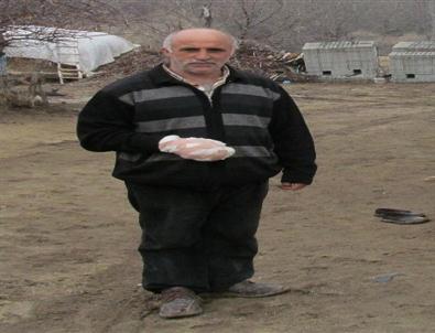 Aç Kalan Kurtlar 4 Köylüyü Yaraladı