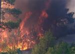 İHBAR HATTI - Mersin’de 2013’te 509 Hektar Ormanlık Alan Yangından Zarar Gördü