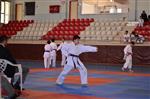 MEHMETÇİK İLKÖĞRETİM OKULU - Okullararası Karate İl Birinciliği Maçları Yapıldı