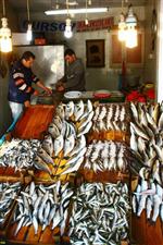 KIRLANGIÇ - Balık Fiyatları Yeni Yılda Yüksek Seyrediyor