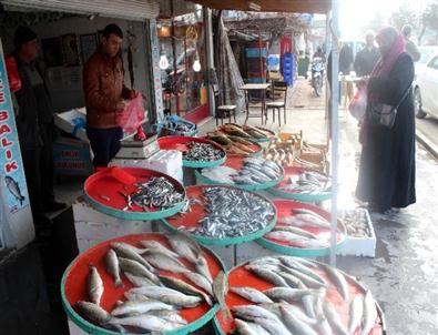 (özel Haber) Beyşehir’de Soğuklar Tatlı Su Balığı Fiyatını Artırdı