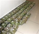 Gaziantep’te Kubar Esrar Operasyonu