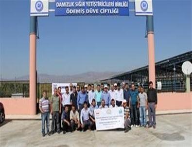 Narmanlı Çiftçilerinin Başarmak İçin Başarılı Örnekleri Yerinde İnceledi