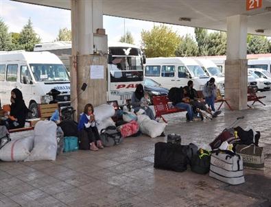 Terminalde Suriyeli Hareketliliği