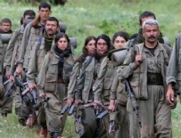 HPG - PKK'dan Bingöl açıklaması!