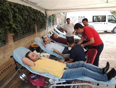 Sinikan Aşiretinden Örnek Davranış