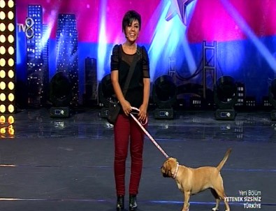 Murat Boz: Schlaf Lady