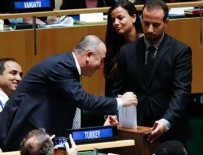 BM Güvenlik Konseyi'ne İspanya seçildi