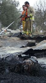 NOHUTLU - Çanakkale’de Ahır Yangını