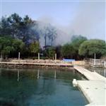 TARKAN TEVETOĞLU - Cumhurbaşkanı Erdoğan’ın Tatil Yaptığı Otelin Plajında Yangın Çıktı