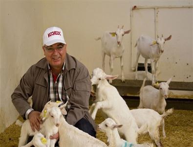 Keçi Sütü ve Peyniri Foodex’te Görücüye Çıkacak!