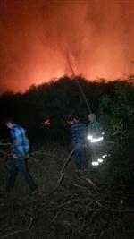GÖKOVA KÖRFEZİ - Muğla'da Bir Yangın Daha