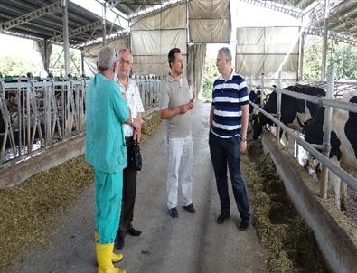 Tarımda Eylül Ayı Dolu Dolu Geçti