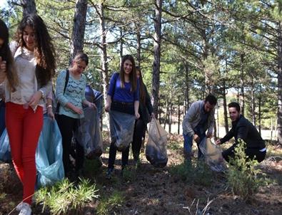 Üniversite Öğrencilerden Orman Temizliği