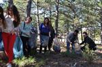 PELITÖZÜ - Üniversite Öğrencilerden Orman Temizliği