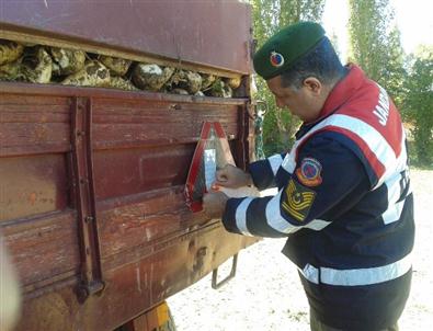 Pancar Yüklü Römorklara Kontrol