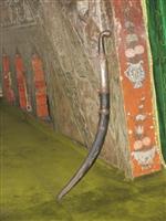 TÜRBE ZİYARETİ - Atabey Gazi Hazretleri, Türbesi Başında Anıldı