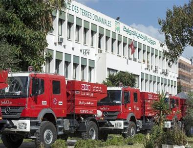 Tika'dan Tunus'a Tarımsal Destek