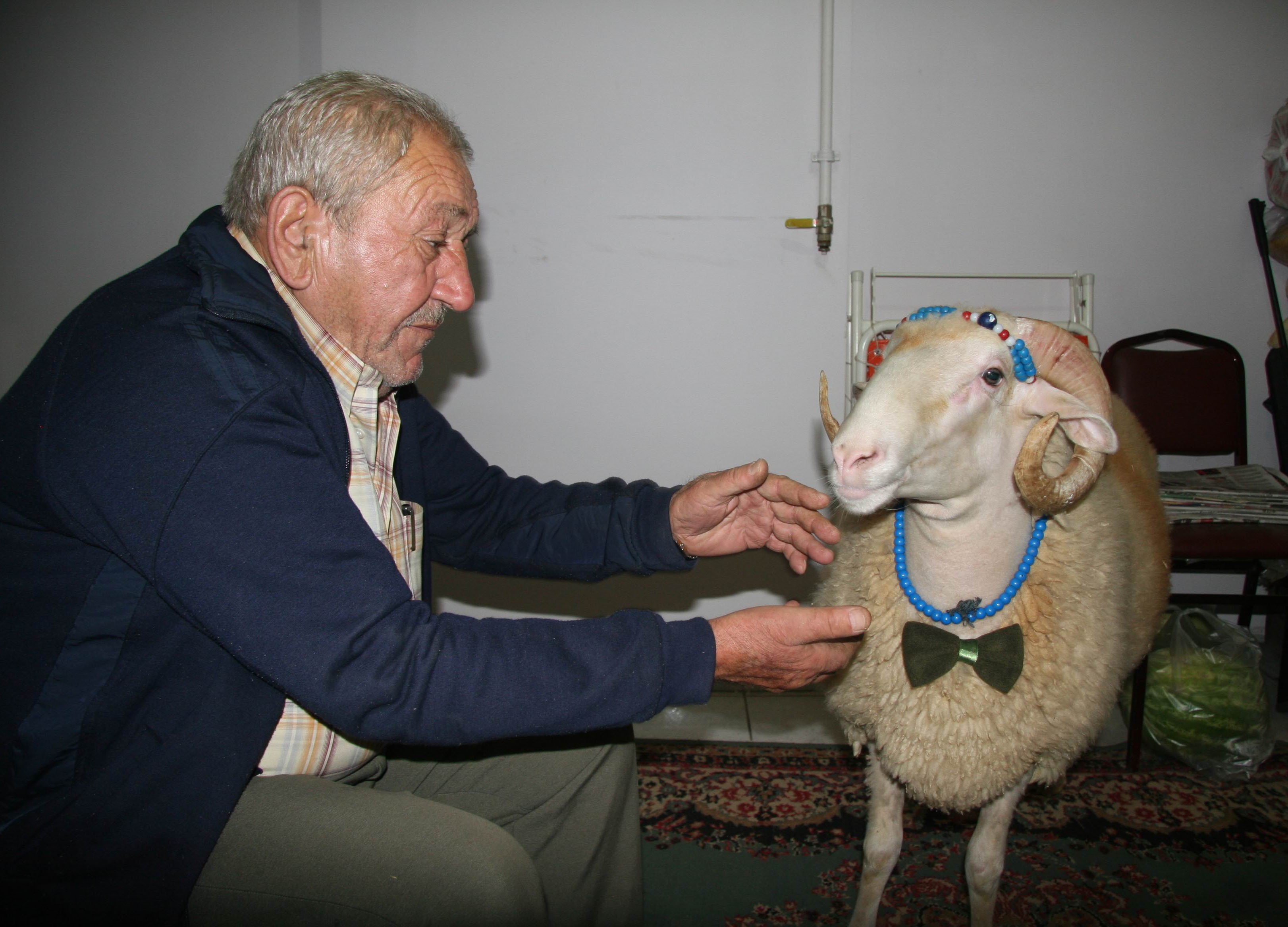 Kurban Bayramı'nın en şanslısı