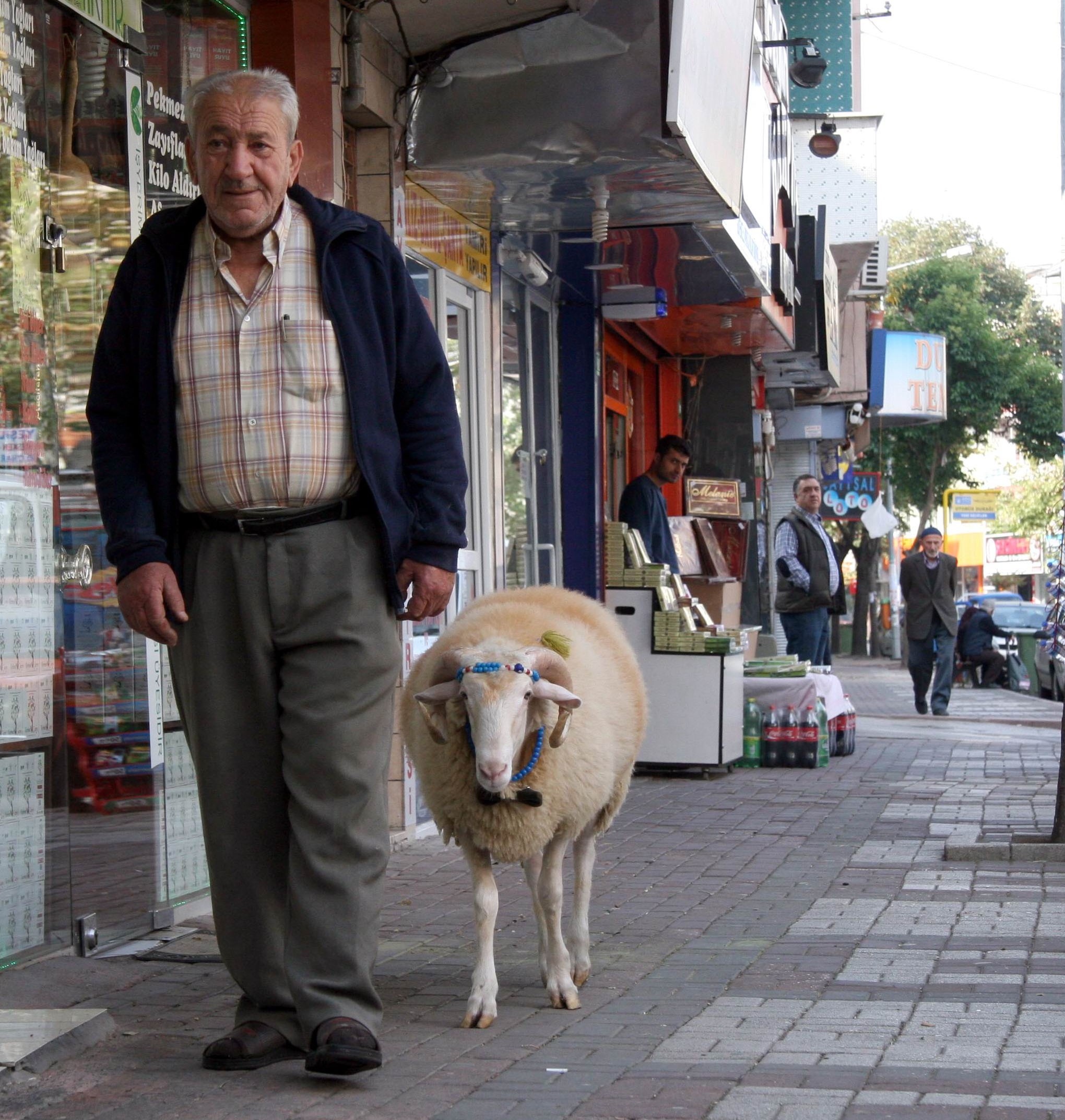Kurban Bayramı'nın en şanslısı