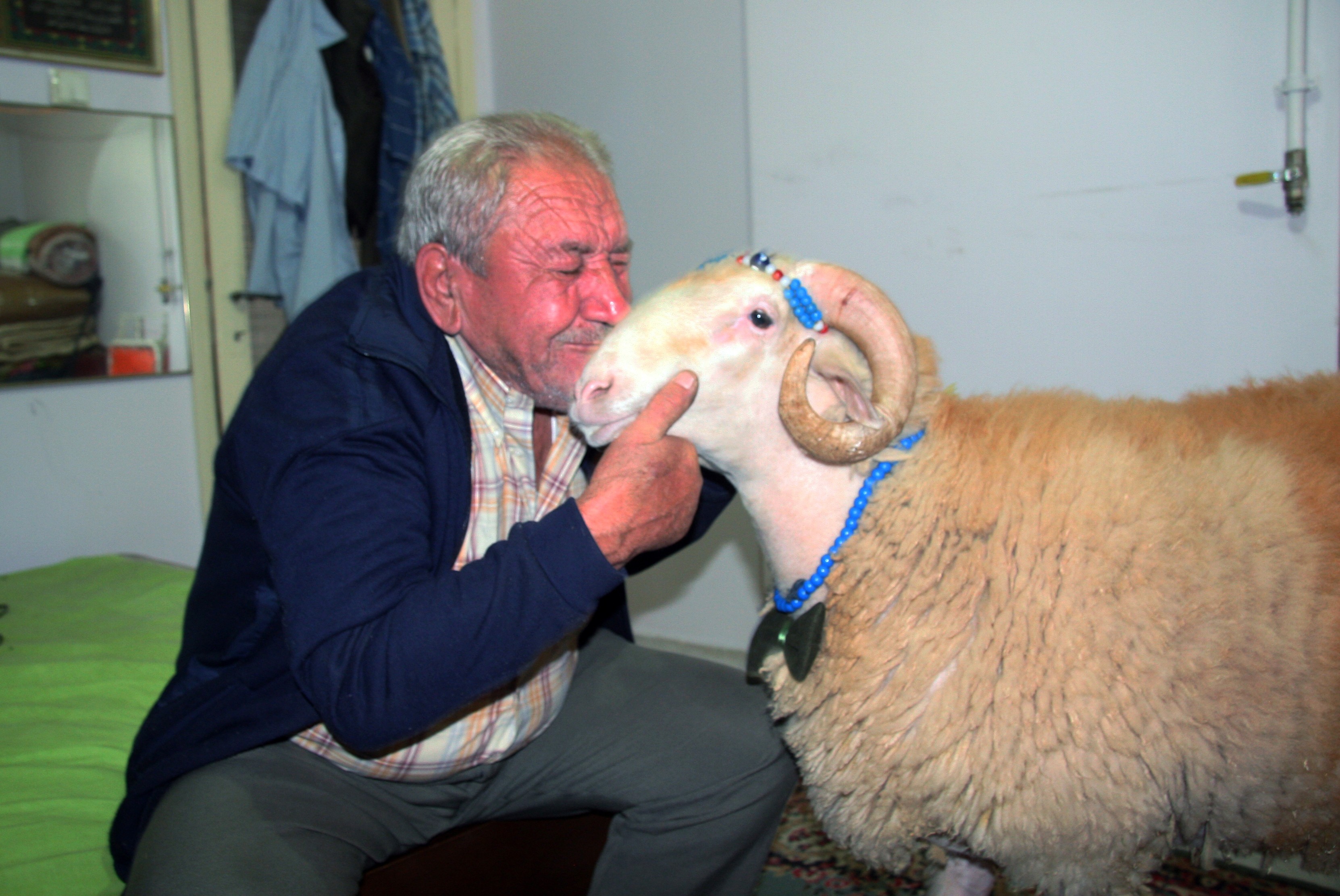 Kurban Bayramı'nın en şanslısı