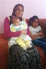 VIAGRA - Bebeğe Viagra Parası Yetiştiremiyorlar