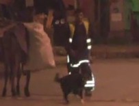 OĞLUM BAK GİT - Çöpleri toplayan işçiyi rahat bırakmadı