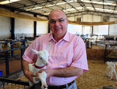 Keçi Sütü'ne İlgi Giderek Artıyor