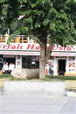 ŞÜPHELİ ÇANTA - Fatih'te Hdp'nin Eylemi Öncesi Şüpheli Çanta Paniği