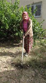 TAVUK ÇİFTLİĞİ - (özel Haber) Atatürk Hayranı Çek Gelin Türk Vatandaşı Oldu