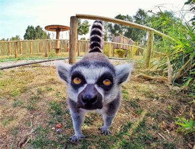 İzmir Doğal Yaşam Parkı'nda Foto Safari