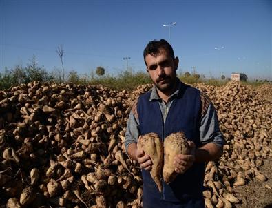Kayseri Şeker'in Desteği Köye Dönüşü Sağladı