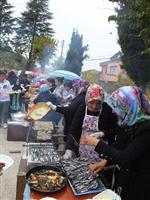 Armutlu'da Balık-ekmek Festivali Haberi