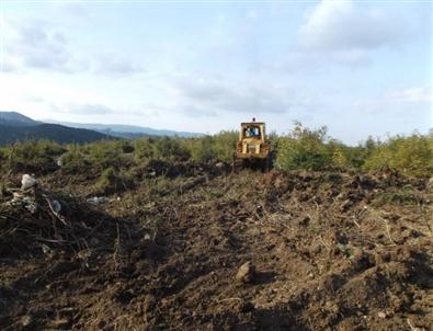 Kozçeşme De İslah Çalışması