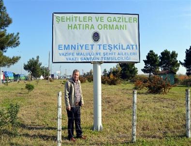 Şehitler ve Gaziler Hatıra Ormanı'na Bakım